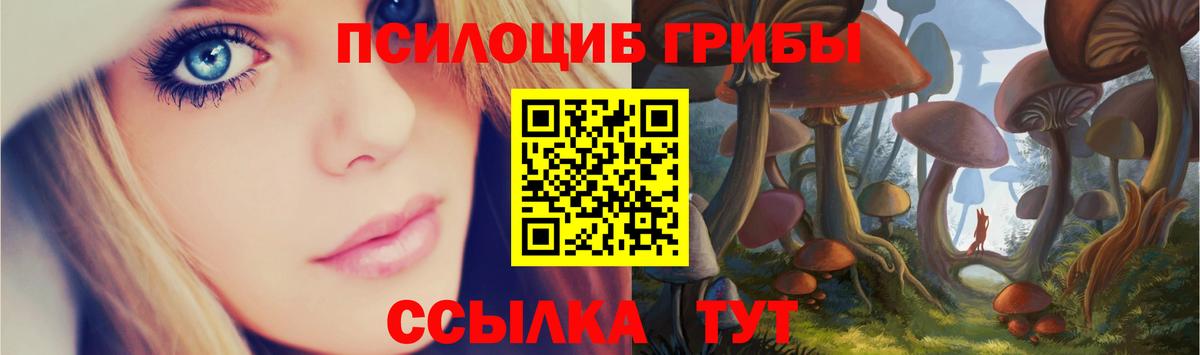 Псилоцибиновые грибы прущие грибы Новодвинск